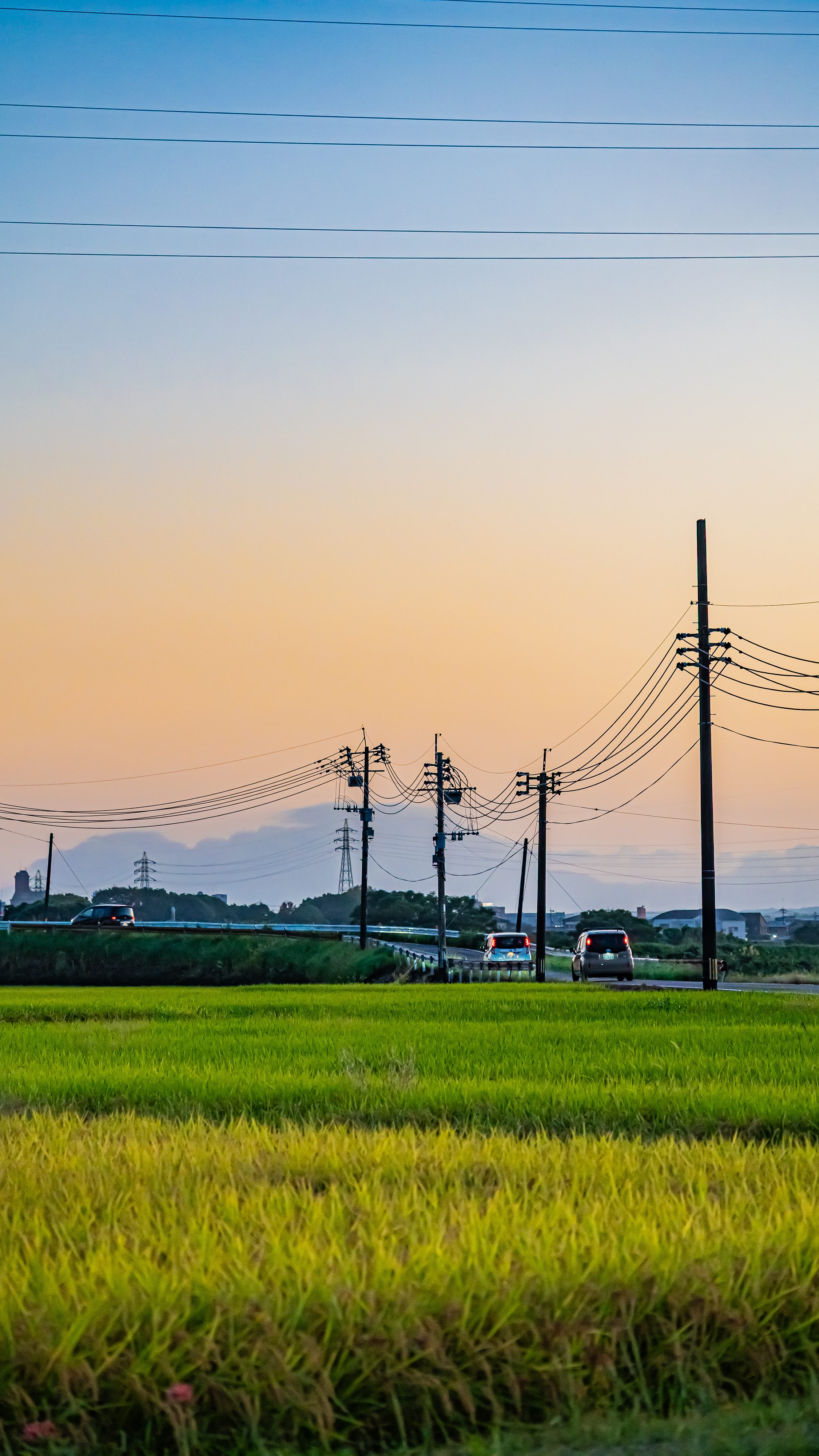 MuslimFriendly Japan Tour